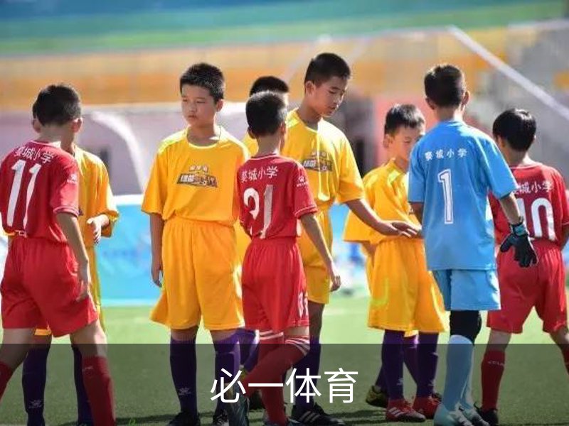 必一(bsport)官方网站 - 官方正版入口